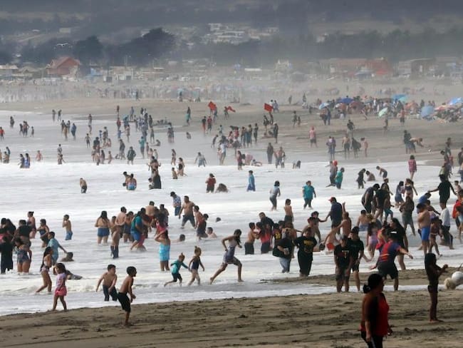 Vacaciones de verano 2024: cómo revisar cuáles son las playas aptas para el baño en Chile con un click
