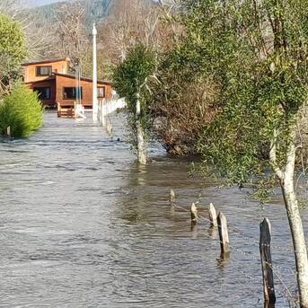 Senapred emite alerta SAE en Lanco por desborde de ríos Cruces y Leufucade: cerca de 50 familias son asistidas para evacuar