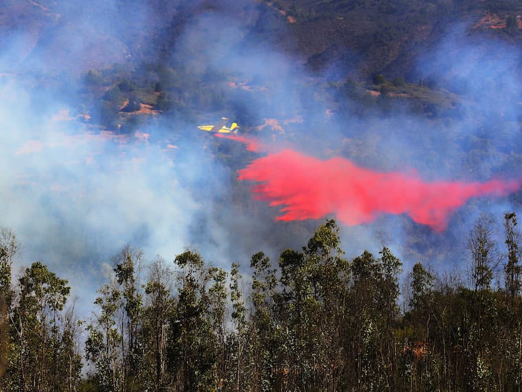 Incendios forestales en Valparaíso: Senpred actualiza en más de mil las hectáreas quemadas