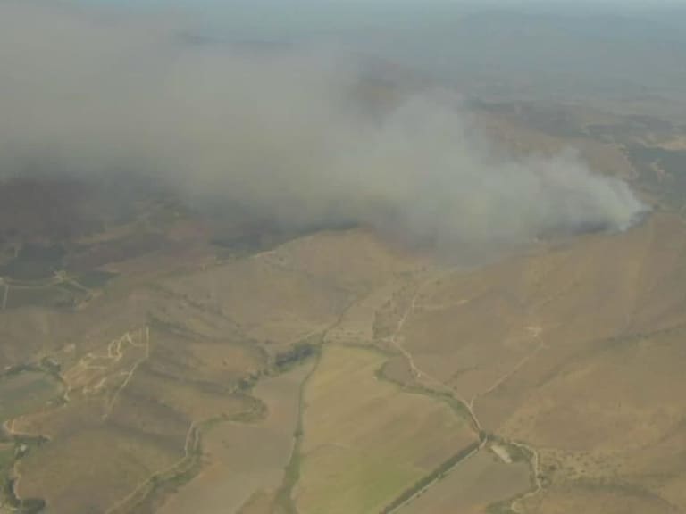 Se registra incendio forestal en Melipilla: presenta “alta intensidad y rápida propagación”