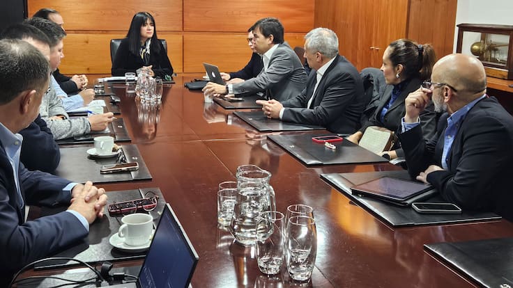 Lluvia en Santiago: SEC convoca a máximos ejecutivos de Enel para exigir medidas ante sistema frontal
