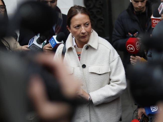 “No soy sujeto de lobby”: Natalia Piergentili da explicaciones ante el PPD por pagos que recibió de Zalaquett