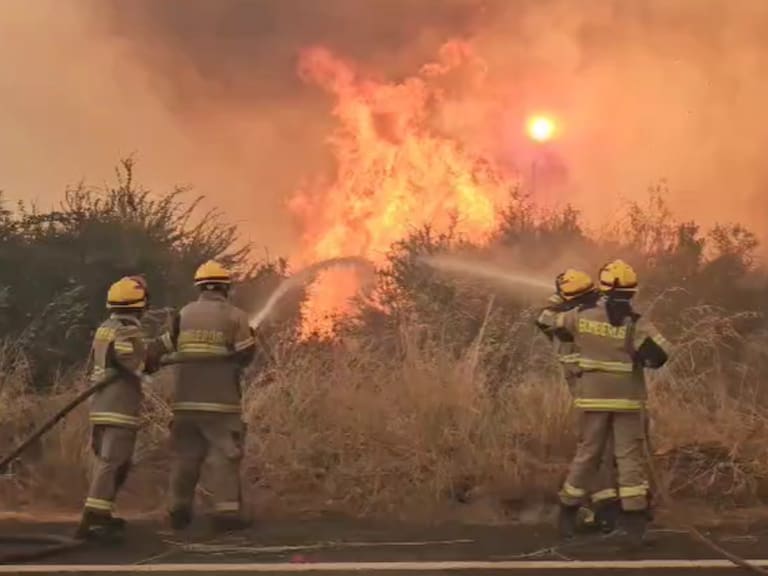 Cedida | Incendio forestal en la Región de O&#039;Higgins
