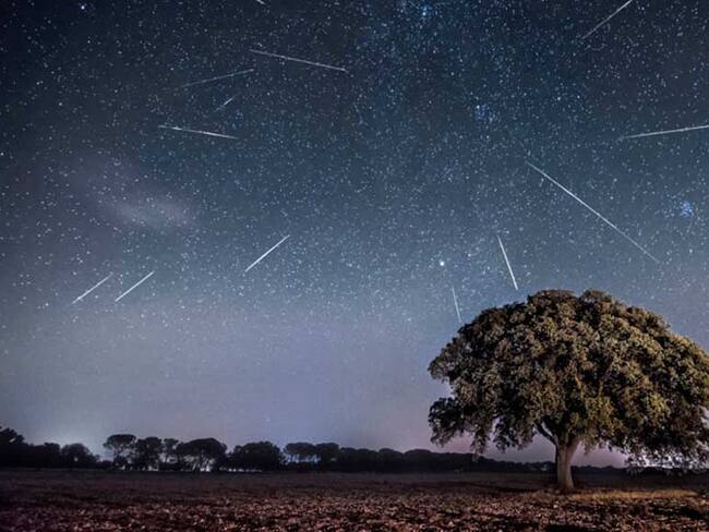 Hasta 120 meteoros por hora: disfruta esta semana con las Gemínidas, una de las lluvias de estrellas más intensas del año
