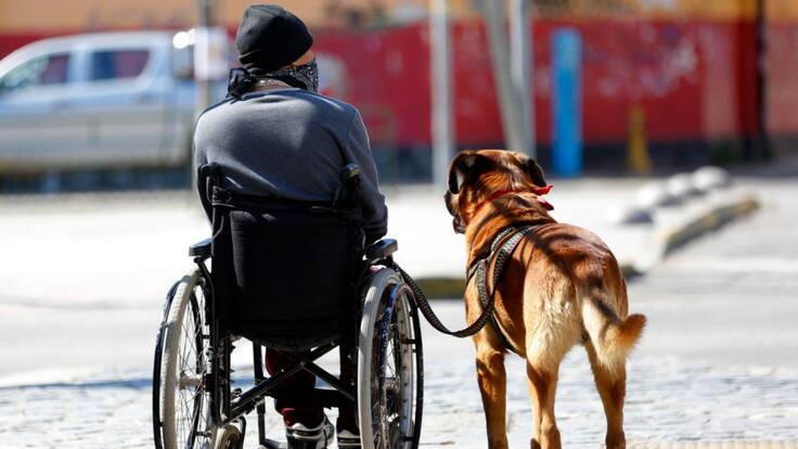 Fundación Chilena para la Discapacidad y diputados piden aumentar penas para quienes cometan delitos contra personas con movilidad reducida