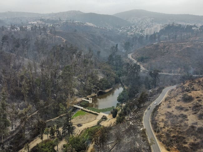 Totalmente destruido: las devastadoras imágenes que deja el incendio forestal en el Jardín Botánico de Viña del Mar