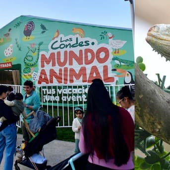 Granja Mundo Animal en Las Condes: horario, dirección, entradas y hasta cuándo dura el panorama para las vacaciones de invierno en Chile