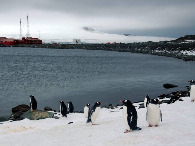 Así es la supercomputadora de la U. de Chile que ayudará a predecir efectos del cambio climático en la Antártica
