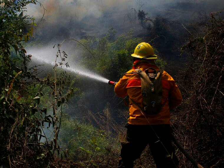 Alerta Roja por incendio forestal en Niebla - Leonardo Hernández - ADN Servicios Informativos - 14 de abril de 2024