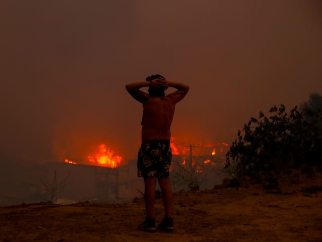 Incendios forestales: ¿Cuál fue el origen de la catástrofe que afecta a la Región de Valparaíso?