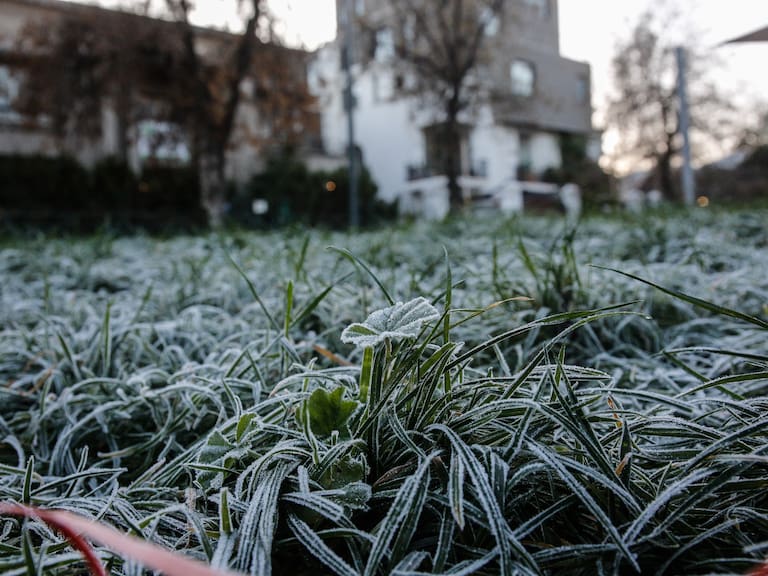 Temperaturas bajo cero en cuatro regiones del país: autoridades emiten advertencia agrometeorológica