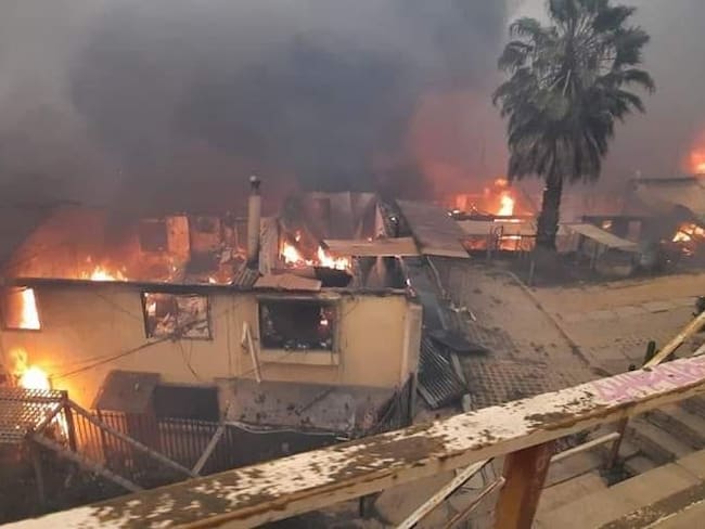 Incendio forestal en Viña del Mar: así amaneció el sector de El Olivar tras ser arrasado por las llamas