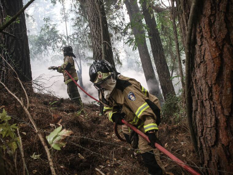 Declaran Alerta Roja en Litueche por incendio forestal