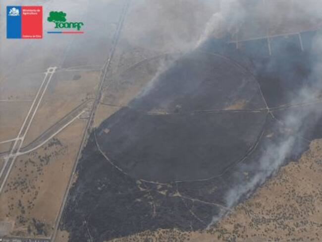 Alerta Roja en Lampa: autoridades advierten que incendio forestal amenaza sectores habitados