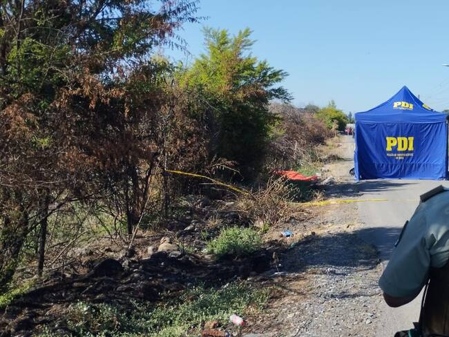 PDI indaga homicidio en Curicó: víctima habría estado robando frutas de un fundo del sector de Sarmiento