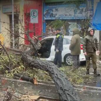 Dos mujeres terminan heridas tras ser aplastadas por un árbol que cayó en Santiago