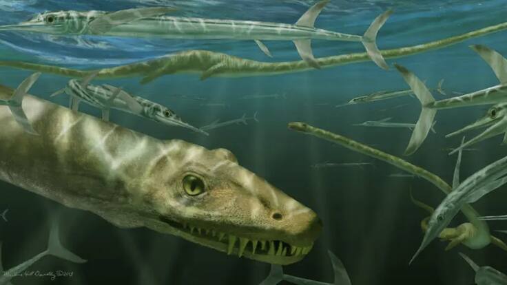 Investigadores descubren fósil de un “dragón chino” de 240 millones de años: “Su cuello es más largo que el cuerpo y la cola juntos”