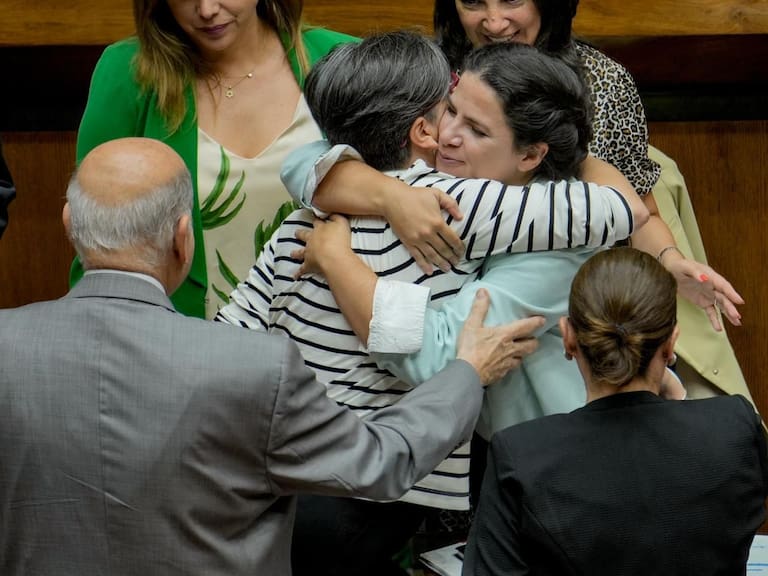 Senado aprueba Ley Integral de Violencia contra la Mujer: ahora será sometida a votación en la Cámara de Diputados