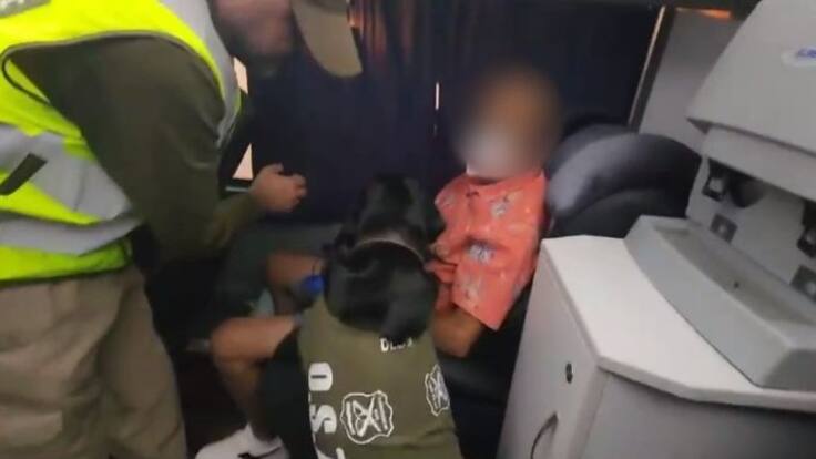 Perro policial detecta a sujeto que transportaba tres kilos de cocaína en bus de Iquique a Santiago