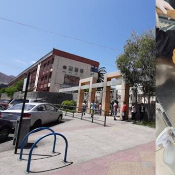 Nuevo caso de maltrato animal: denuncian que perrito fue lanzado desde tercer piso en colegio de Antofagasta
