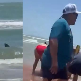 Video muestra brutal ataque de tiburón en Texas: dejó a tres personas heridas
